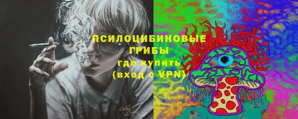 гашик Абинск