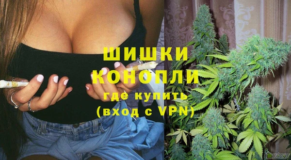 ешки Апатиты